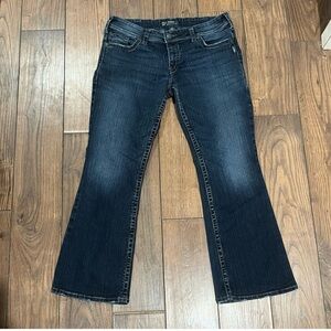 Silver Jeans Suki Surplus
